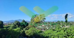 DIJUAL CEPAT TANAH CANTIK VIEW MANADO DAERAH WINANGUN, HARGA SANGAT MURAH