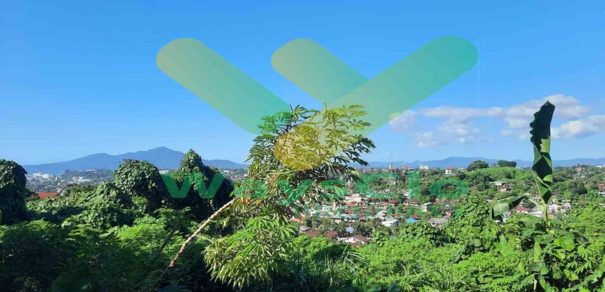 DIJUAL CEPAT TANAH CANTIK VIEW MANADO DAERAH WINANGUN, HARGA SANGAT MURAH