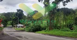 DIJUAL CEPAT TANAH CANTIK DAN STRATEGIS DAERAH BITUNG, HARGA SANGAT MURAH