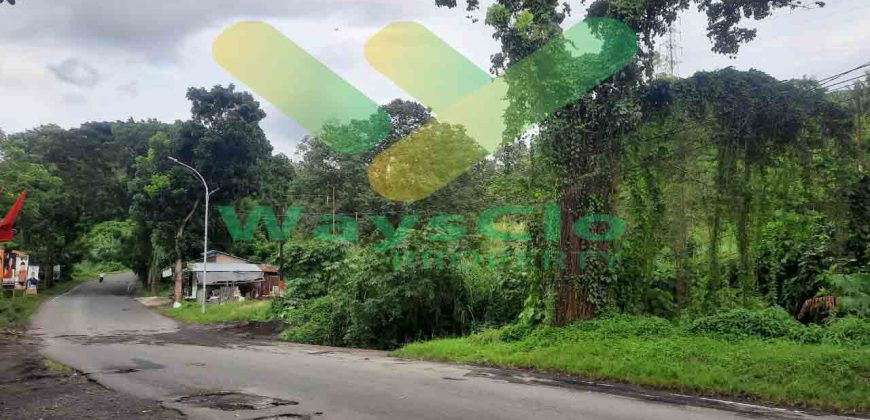 DIJUAL CEPAT TANAH CANTIK DAN STRATEGIS DAERAH BITUNG, HARGA SANGAT MURAH