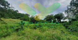 DIJUAL CEPAT TANAH CANTIK DAN STRATEGIS DAERAH BITUNG, HARGA SANGAT MURAH