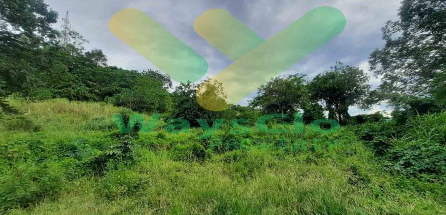 DIJUAL CEPAT TANAH CANTIK DAN STRATEGIS DAERAH BITUNG, HARGA SANGAT MURAH