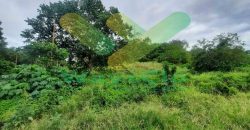 DIJUAL CEPAT TANAH CANTIK DAN STRATEGIS DAERAH BITUNG, HARGA SANGAT MURAH