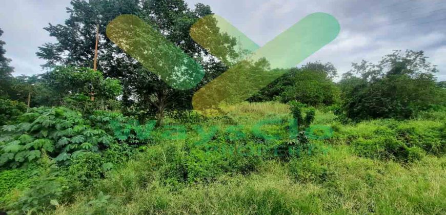 DIJUAL CEPAT TANAH CANTIK DAN STRATEGIS DAERAH BITUNG, HARGA SANGAT MURAH