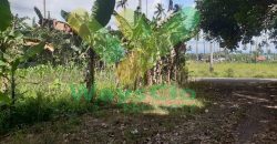DIJUAL CEPAT TANAH CANTIK DAN MENARIK DAERAH MAPANGET, HARGA SANGAT MURAH