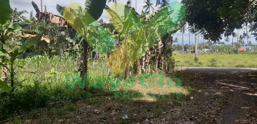 DIJUAL CEPAT TANAH CANTIK DAN MENARIK DAERAH MAPANGET, HARGA SANGAT MURAH