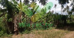 DIJUAL CEPAT TANAH CANTIK DAN MENARIK DAERAH MAPANGET, HARGA SANGAT MURAH