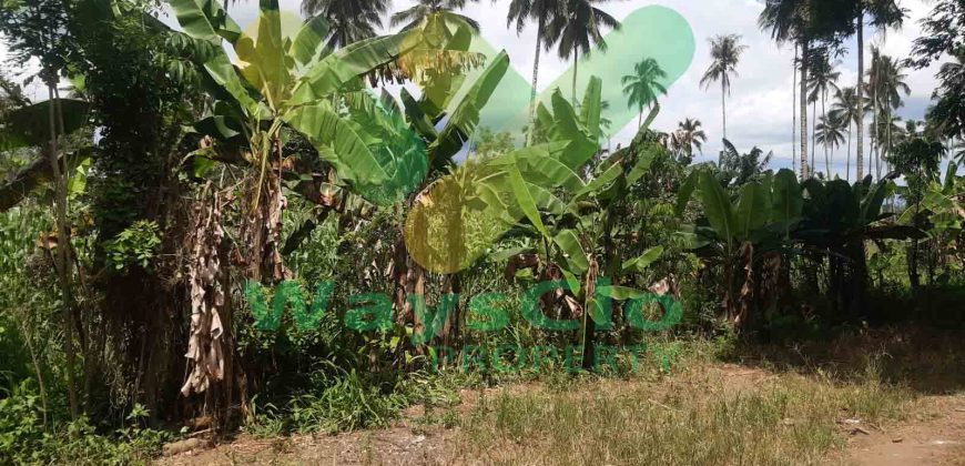 DIJUAL CEPAT TANAH CANTIK DAN MENARIK DAERAH MAPANGET, HARGA SANGAT MURAH