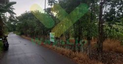 DIJUAL CEPAT TANAH CANTIK DAN MENARIK DAERAH MAPANGET, HARGA SANGAT MURAH