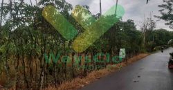 DIJUAL CEPAT TANAH CANTIK DAN MENARIK DAERAH MAPANGET, HARGA SANGAT MURAH