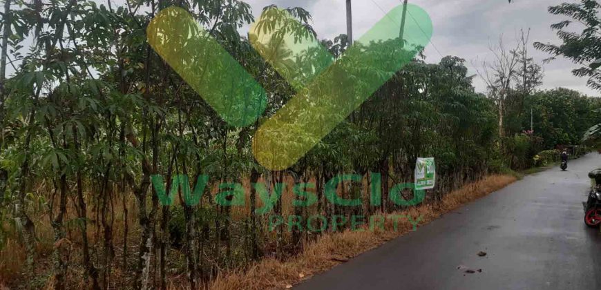DIJUAL CEPAT TANAH CANTIK DAN MENARIK DAERAH MAPANGET, HARGA SANGAT MURAH