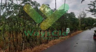 DIJUAL CEPAT TANAH CANTIK DAN MENARIK DAERAH MAPANGET, HARGA SANGAT MURAH