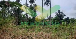DIJUAL CEPAT TANAH CANTIK DAN MENARIK DI KONSOLIDASI MAPANGET, HARGA SANGAT MURAH