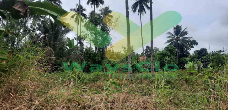 DIJUAL CEPAT TANAH CANTIK DAN MENARIK DI KONSOLIDASI MAPANGET, HARGA SANGAT MURAH