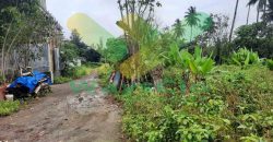 DIJUAL CEPAT TANAH CANTIK DAN MENARIK DI KONSOLIDASI MAPANGET, HARGA SANGAT MURAH