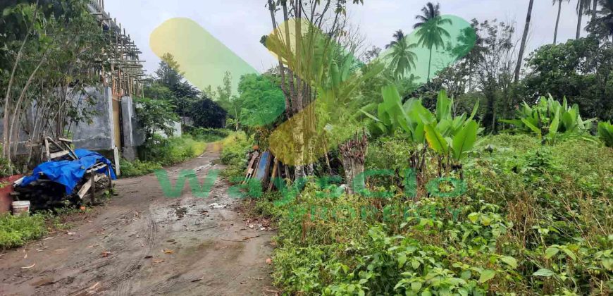 DIJUAL CEPAT TANAH CANTIK DAN MENARIK DI KONSOLIDASI MAPANGET, HARGA SANGAT MURAH