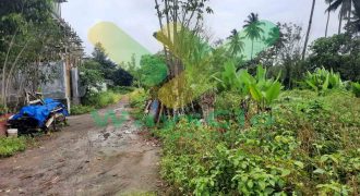 DIJUAL CEPAT TANAH CANTIK DAN MENARIK DI KONSOLIDASI MAPANGET, HARGA SANGAT MURAH