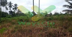 DIJUAL CEPAT TANAH CANTIK DAN MENARIK DI KONSOLIDASI MAPANGET, HARGA SANGAT MURAH
