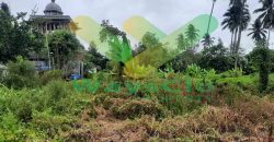 DIJUAL CEPAT TANAH CANTIK DAN MENARIK DI KONSOLIDASI MAPANGET, HARGA SANGAT MURAH