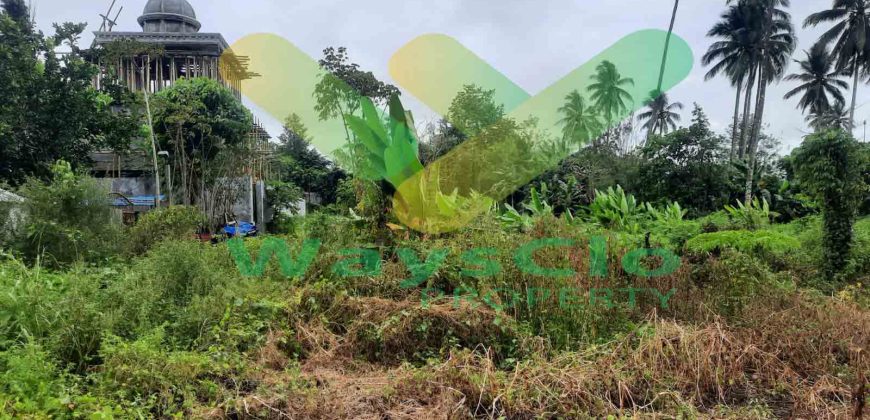 DIJUAL CEPAT TANAH CANTIK DAN MENARIK DI KONSOLIDASI MAPANGET, HARGA SANGAT MURAH