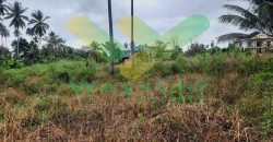 DIJUAL CEPAT TANAH CANTIK DAN MENARIK DI KONSOLIDASI MAPANGET, HARGA SANGAT MURAH