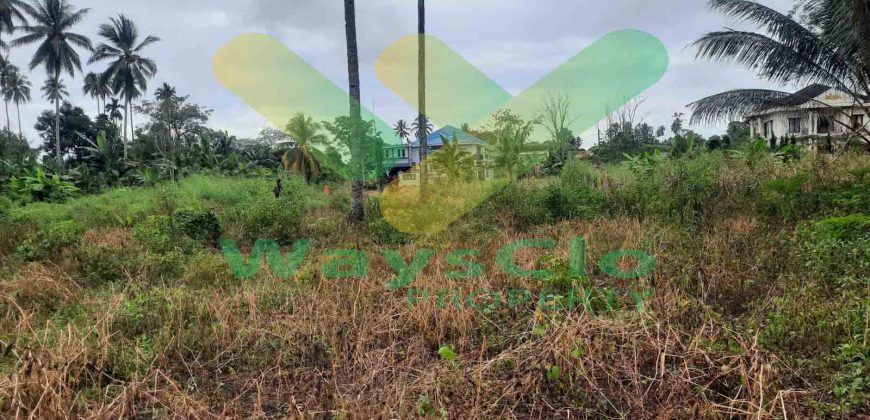 DIJUAL CEPAT TANAH CANTIK DAN MENARIK DI KONSOLIDASI MAPANGET, HARGA SANGAT MURAH