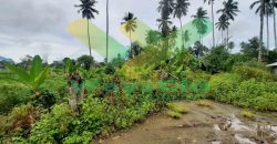 DIJUAL CEPAT TANAH CANTIK DAN MENARIK DI KONSOLIDASI MAPANGET, HARGA SANGAT MURAH