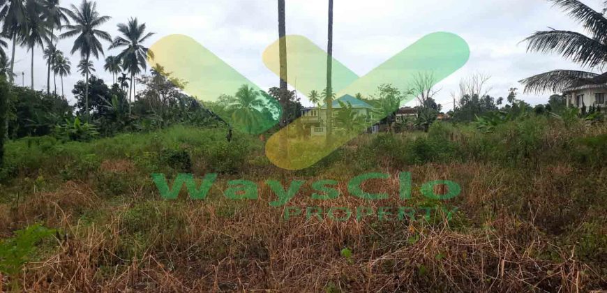 DIJUAL CEPAT TANAH CANTIK DAN MENARIK DI KONSOLIDASI MAPANGET, HARGA SANGAT MURAH