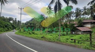 DIJUAL CEPAT TANAH CANTIK DAN MENARIK DAERAH TANAWANGKO, HARGA SANGAT MURAH