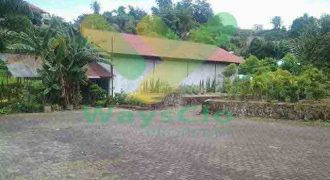 DIJUAL CEPAT TANAH CANTIK DAN MENARIK DAERAH PINELENG, HARGA SANGAT MURAH