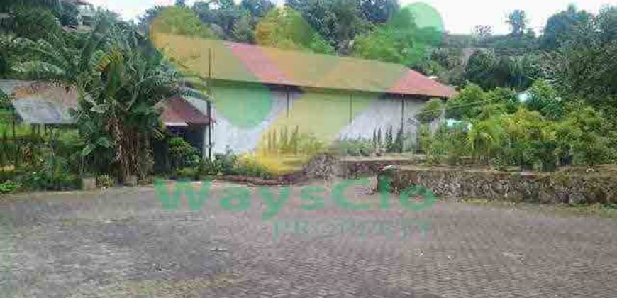 DIJUAL CEPAT TANAH CANTIK DAN MENARIK DAERAH PINELENG, HARGA SANGAT MURAH