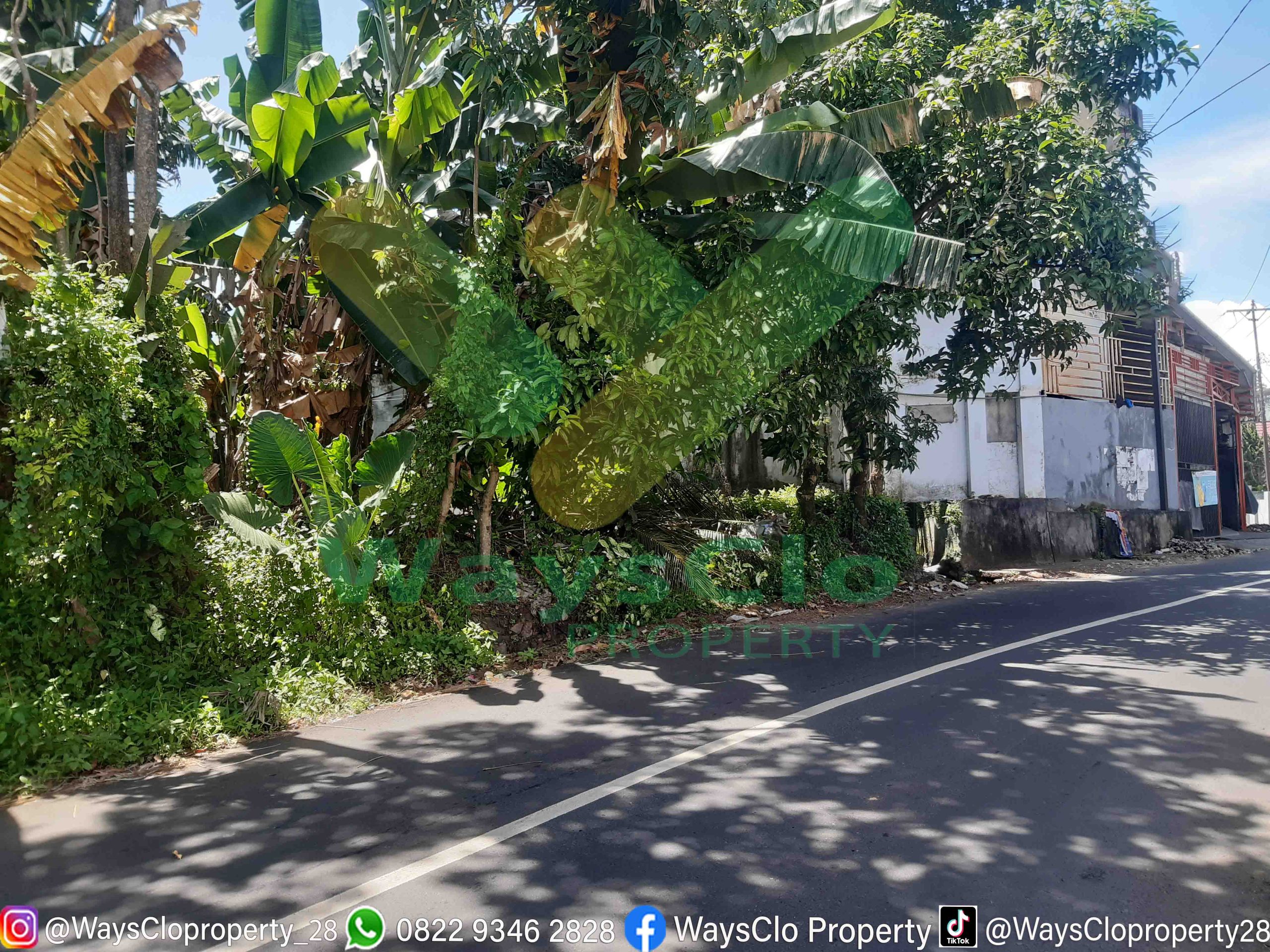 DIJUAL CEPAT TANAH MENARIK DAERAH MALALAYANG, HARGA SANGAT MURAH