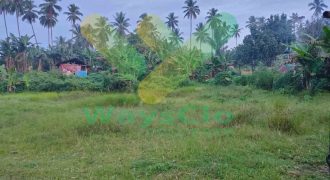 DIJUAL CEPAT TANAH MENARIK DAN SANGAT MURAH DAERAH MALALAYANG, HARGA SANGAT MURAH