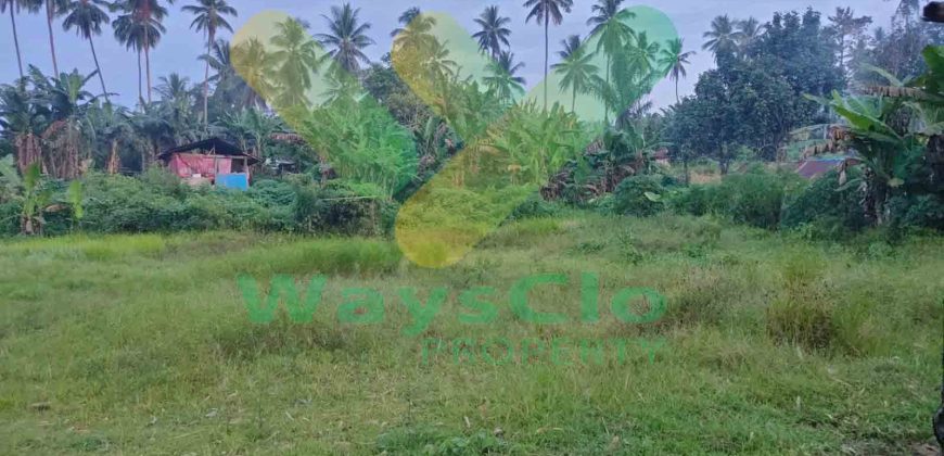 DIJUAL CEPAT TANAH MENARIK DAN SANGAT MURAH DAERAH MALALAYANG, HARGA SANGAT MURAH