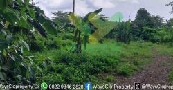 DIJUAL CEPAT TANAH MURAH PINGGIR PANTAI MALALAYANG, HARGA DI BAWAH PASARAN
