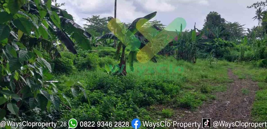 DIJUAL CEPAT TANAH MURAH PINGGIR PANTAI MALALAYANG, HARGA DI BAWAH PASARAN