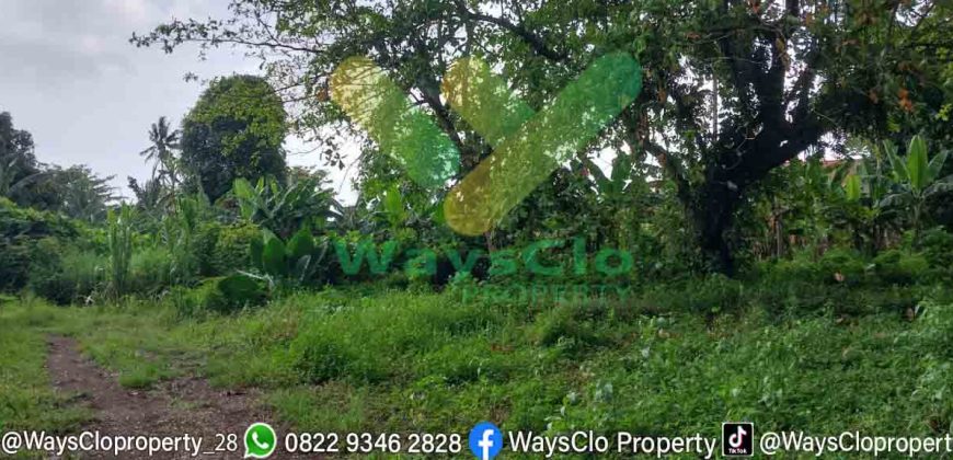 DIJUAL CEPAT TANAH MURAH PINGGIR PANTAI MALALAYANG, HARGA DI BAWAH PASARAN