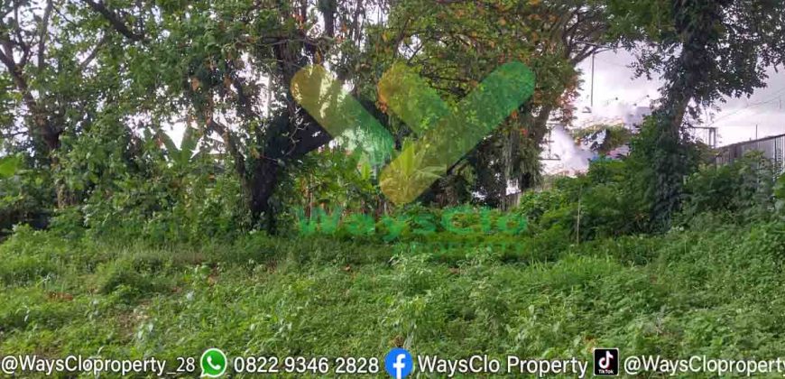 DIJUAL CEPAT TANAH MURAH PINGGIR PANTAI MALALAYANG, HARGA DI BAWAH PASARAN