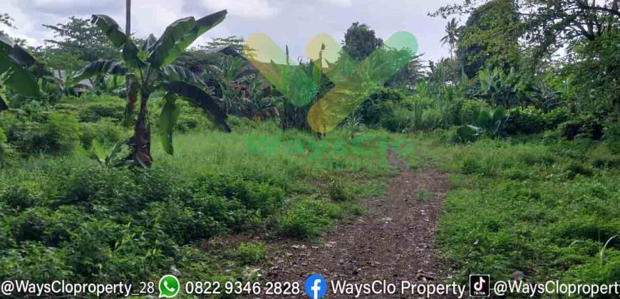 DIJUAL CEPAT TANAH MURAH PINGGIR PANTAI MALALAYANG, HARGA DI BAWAH PASARAN