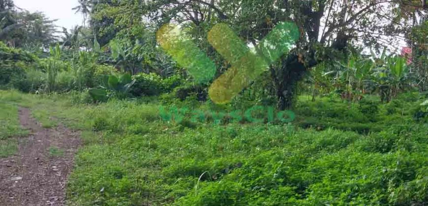 DIJUAL CEPAT TANAH MURAH PINGGIR PANTAI MALALAYANG, HARGA DI BAWAH PASARAN