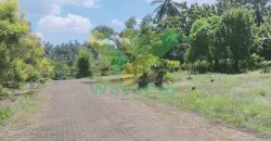 DIJUAL CEPAT TANAH CANTIK DAN MENARIK DAERAH PINELENG, HARGA MURAH