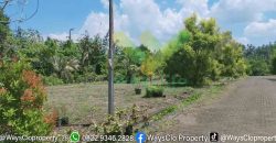 DIJUAL CEPAT TANAH CANTIK DAN MENARIK DAERAH PINELENG, HARGA MURAH