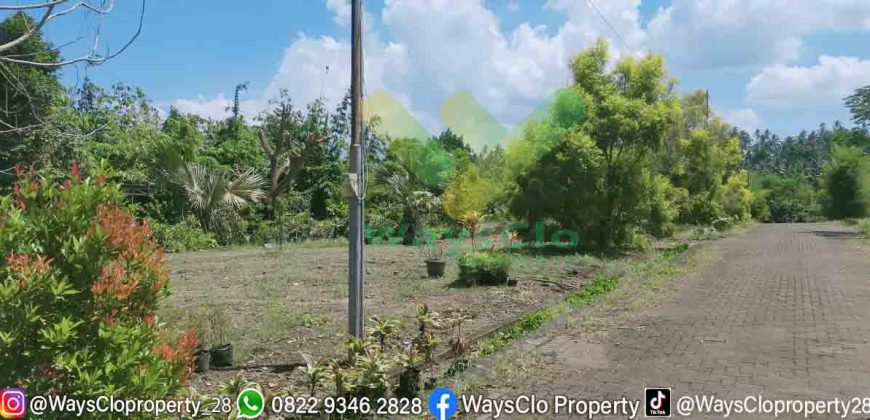 DIJUAL CEPAT TANAH CANTIK DAN MENARIK DAERAH PINELENG, HARGA MURAH