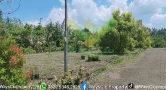 DIJUAL CEPAT TANAH CANTIK DAN MENARIK DAERAH PINELENG, HARGA MURAH