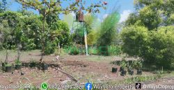 DIJUAL CEPAT TANAH CANTIK DAN MENARIK DAERAH PINELENG, HARGA MURAH