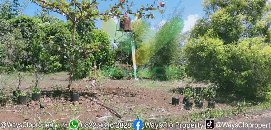 DIJUAL CEPAT TANAH CANTIK DAN MENARIK DAERAH PINELENG, HARGA MURAH