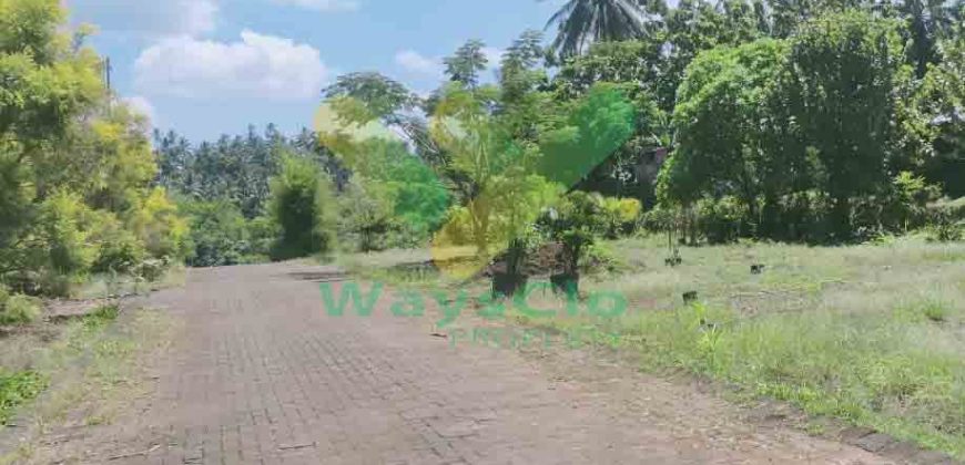 DIJUAL CEPAT TANAH CANTIK DAN MENARIK DAERAH PINELENG, HARGA MURAH