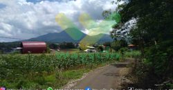 DIJUAL CEPAT TANAH CANTIK DAERAH TOMOHON, HARGA SANGAT MURAH