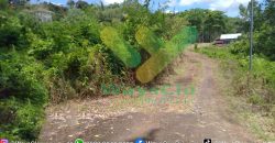 DIJUAL CEPAT TANAH CANTIK DAERAH TOMOHON, HARGA SANGAT MURAH