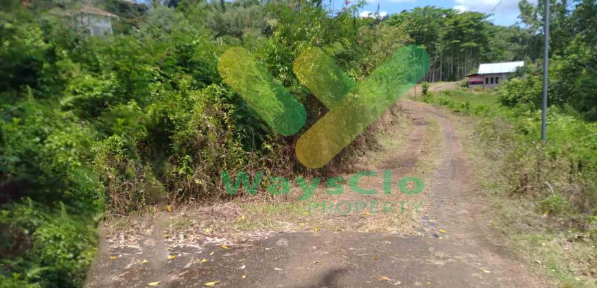 DIJUAL CEPAT TANAH CANTIK DAERAH TOMOHON, HARGA SANGAT MURAH